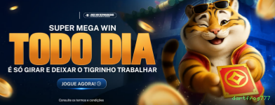 Interface do Aplicativo dartfrog777 - Design Premium e Intuitivo